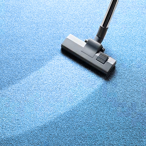 Limpieza de alfombra